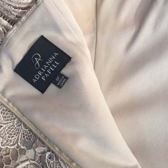 Adrianna Papell Lace Sheath Dress Size 8P - Picture 10 of 11